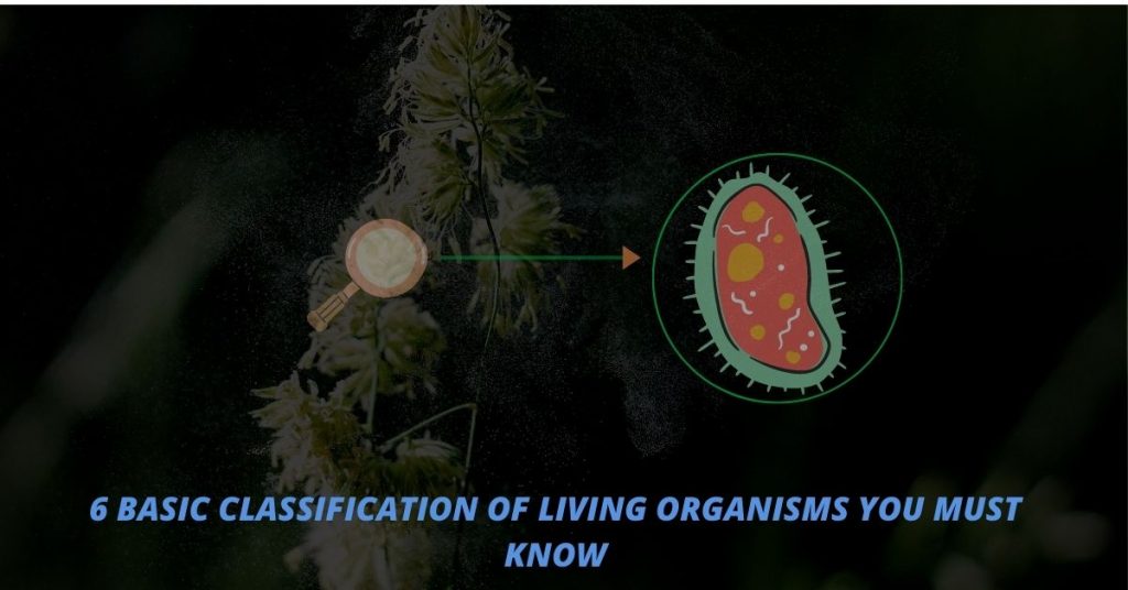 CLASSIFICATION OF LIVING ORGANISMS