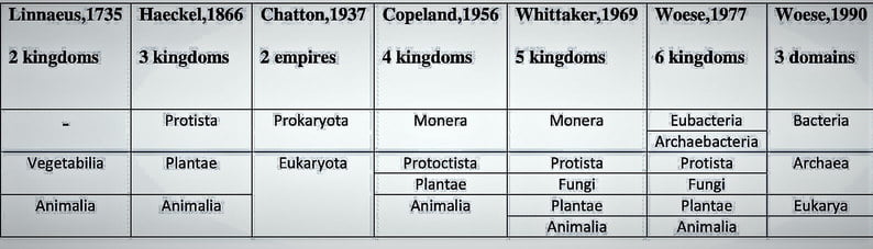 Summary of Kingdom Classification table