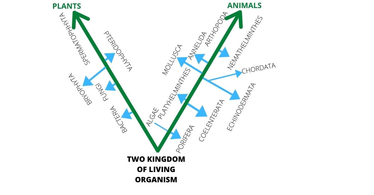 TWO KINGDOM OF LIVING ORGANISMS