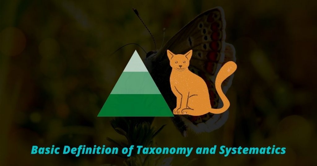 Basic Definition of Taxonomy and Systematics