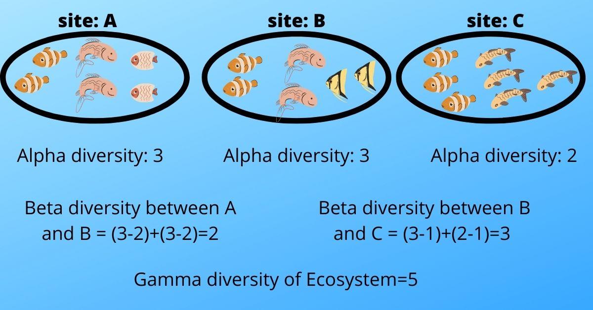 alpha beta and Gamma diversity