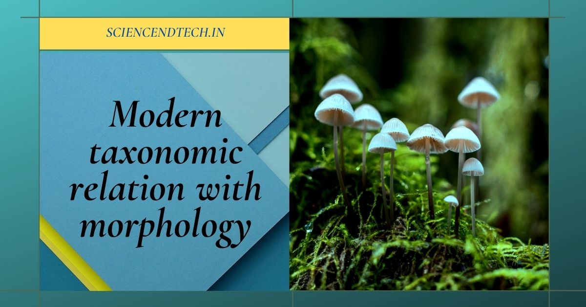 Modern taxonomic relation with morphology