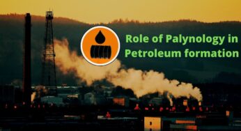 Role of Palynology in Petroleum formation