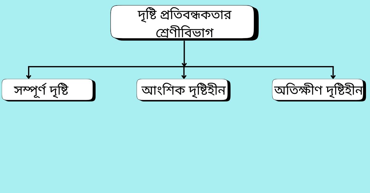 দৃষ্টি প্রতিবন্ধকতার শ্রেণীবিভাগ